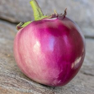 Menekşe renkli topan patlıcan mauve eggplant
