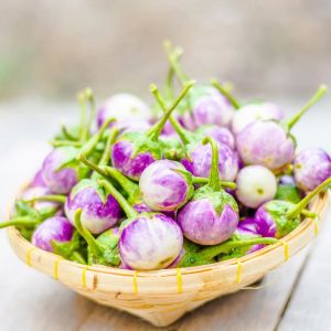 Menekşe renkli topan patlıcan mauve eggplant