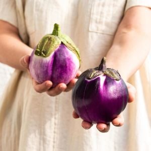 Menekşe renkli topan patlıcan mauve eggplant