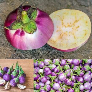 Menekşe renkli topan patlıcan mauve eggplant