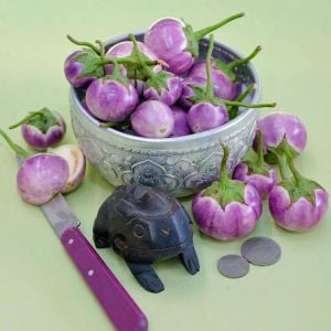 Menekşe renkli topan patlıcan mauve eggplant