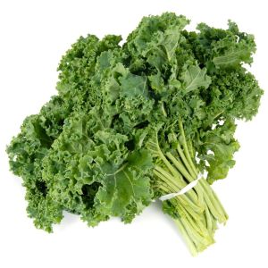 Beyaz Rus Kale tohumu white russian kale