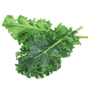 Beyaz Rus Kale tohumu white russian kale