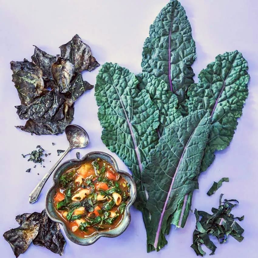 Mavi Kale tohumu dazzling blue kale