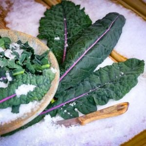 Mavi Kale tohumu dazzling blue kale