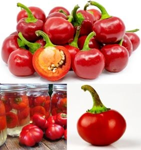 Tatlı kiraz biber tohumu red cherry sweet pepper