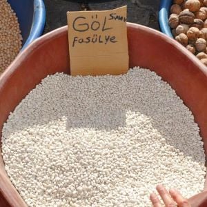 Kütahya Simav Göl fasulyesi tohumu Atalık tohum