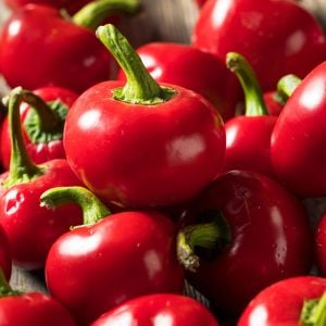 Tatlı kiraz biber tohumu red cherry sweet pepper