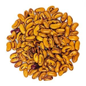 Tiger Eye kaplan gözü Atalık fasulye tohumu oturak tip