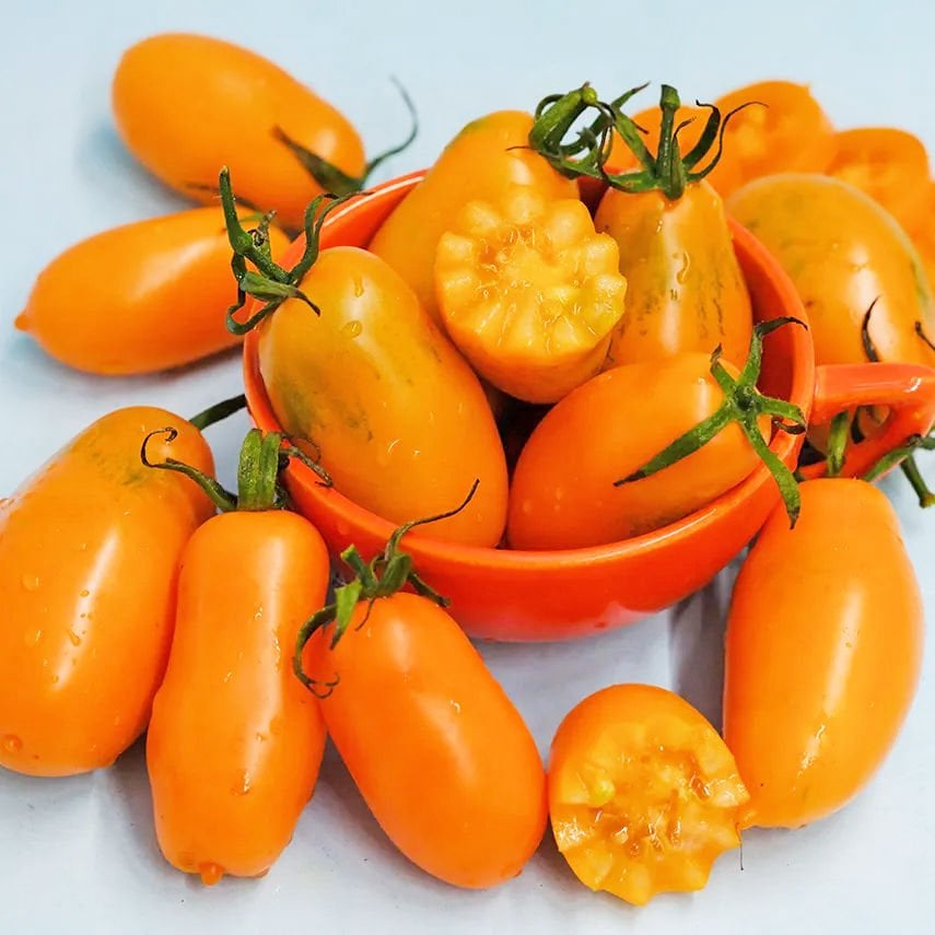 Turuncu salkım domates tohumu orange banana tomato seeds