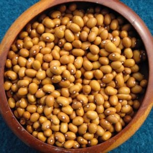 Buckskin Atalık fasulye tohumu oturak tip