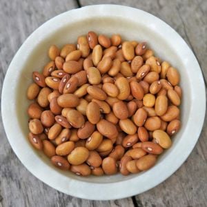 Buckskin Atalık fasulye tohumu oturak tip