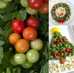Atalık çeri üzüm domates tohumu sırık tip
