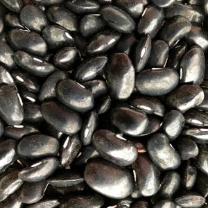 Black Coat Atalık fasulye tohumu sırık tip
