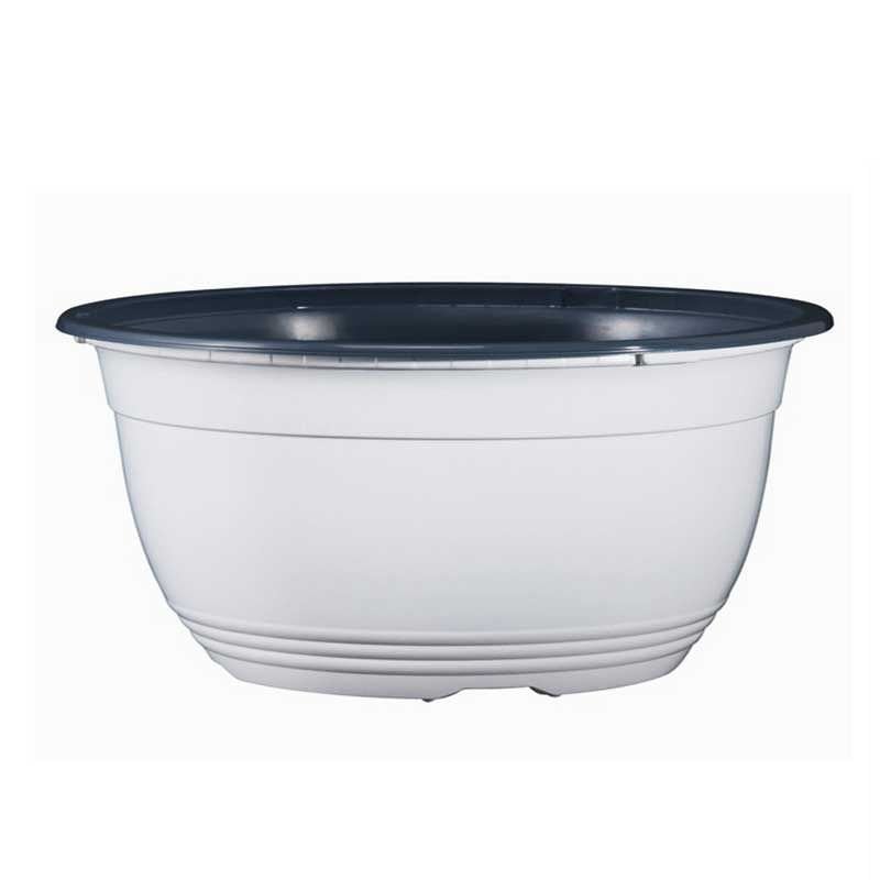 Beyaz teku saksı menekşe bonsai kaktüs uygun 5 adet