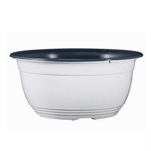 Beyaz teku saksı menekşe bonsai kaktüs uygun 5 adet