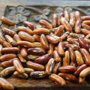 Calima Atalık fasulye tohumu oturak tip