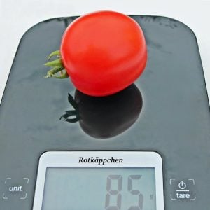 Kırmızı Başlıklı Kız saksı domates tohumu rotkappchen tomato