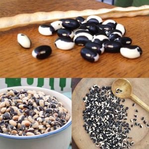 Tohono O'odham Atalık tepary börülce tohumu oturak