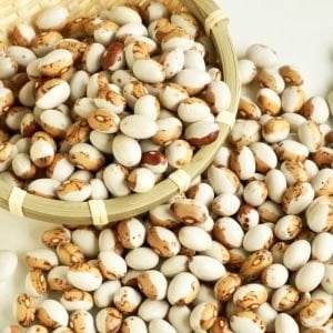 Kahverengi Tuvagliedda Atalık fasulye tohumu sırık tip