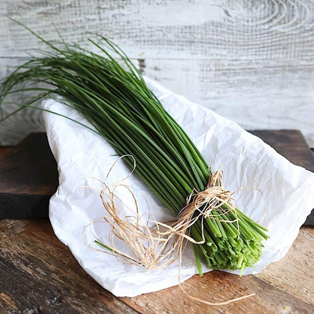 Onion chives Frenk soğanı tohumu soğan otu ince yapraklı