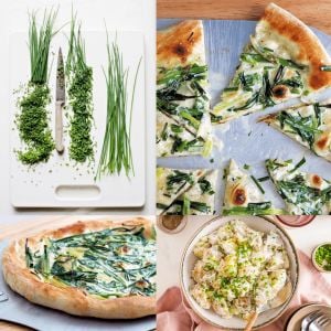 Onion chives Frenk soğanı tohumu soğan otu ince yapraklı