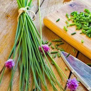 Onion chives Frenk soğanı tohumu soğan otu ince yapraklı