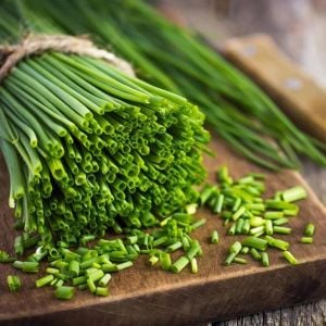 Frenk soğanı tohumu soğanotu orta yapraklı onion chives