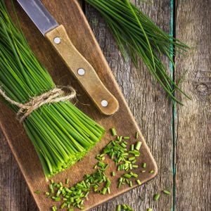 Frenk soğanı tohumu soğanotu orta yapraklı onion chives