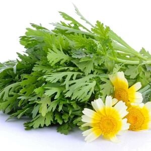 Chop suey tohumu salad shungiku yenilebilir yaprak ve çiçekler