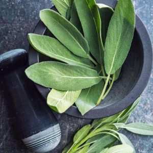 İngiliz adaçayı tohumu salvia officinalis english sage