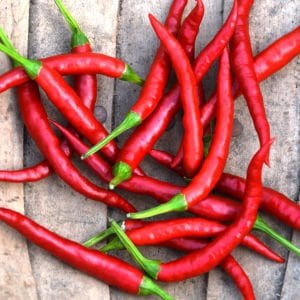 Damien acı biber tohumu hot chili pepper