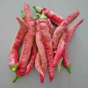 Çok acı Arnavut biberi tohumu rezha macedonian pepper