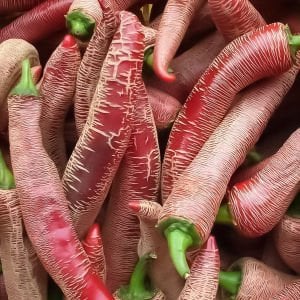 Çok acı Arnavut biberi tohumu rezha macedonian pepper