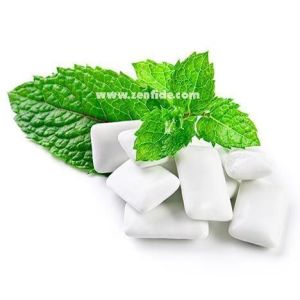 Sakız aromalı nane fidesi yakima mentha spicata 3 fide