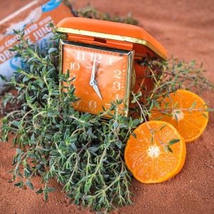Portakal kokulu kekik tohumu thymus fragrant