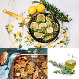 Saksılık biberiye fidesi britania compact rosemary