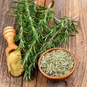 Saksılık biberiye fidesi britania compact rosemary