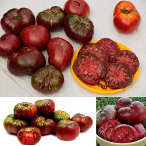 Siyah black krim domates tohumu Dünyanın en lezzetli domatesi