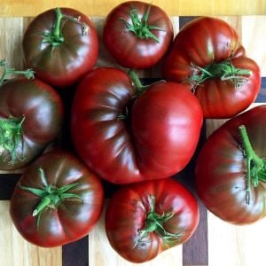 Siyah black krim domates tohumu Dünyanın en lezzetli domatesi