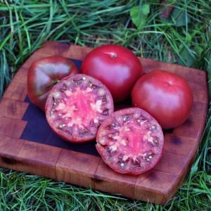 Siyah black krim domates tohumu Dünyanın en lezzetli domatesi