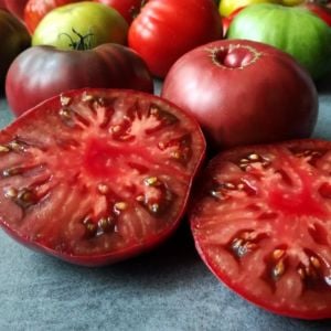 Siyah black krim domates tohumu Dünyanın en lezzetli domatesi