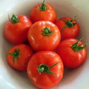 Geleneksel bostan domatesi tohumu homestead tomato heirloom
