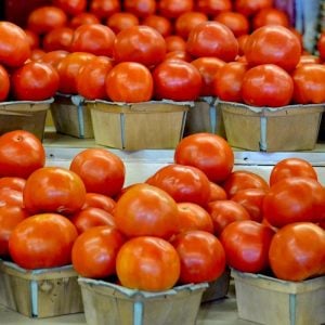 Geleneksel bostan domatesi tohumu homestead tomato heirloom