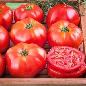 Düşük asitli domates tohumu geleneksel