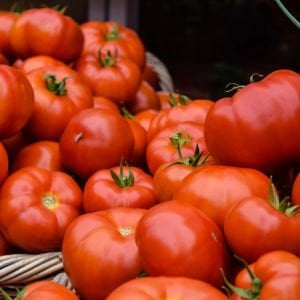 Düşük asitli domates tohumu geleneksel