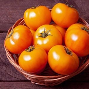 Jubile domates tohumu geleneksel doğal altın sarı