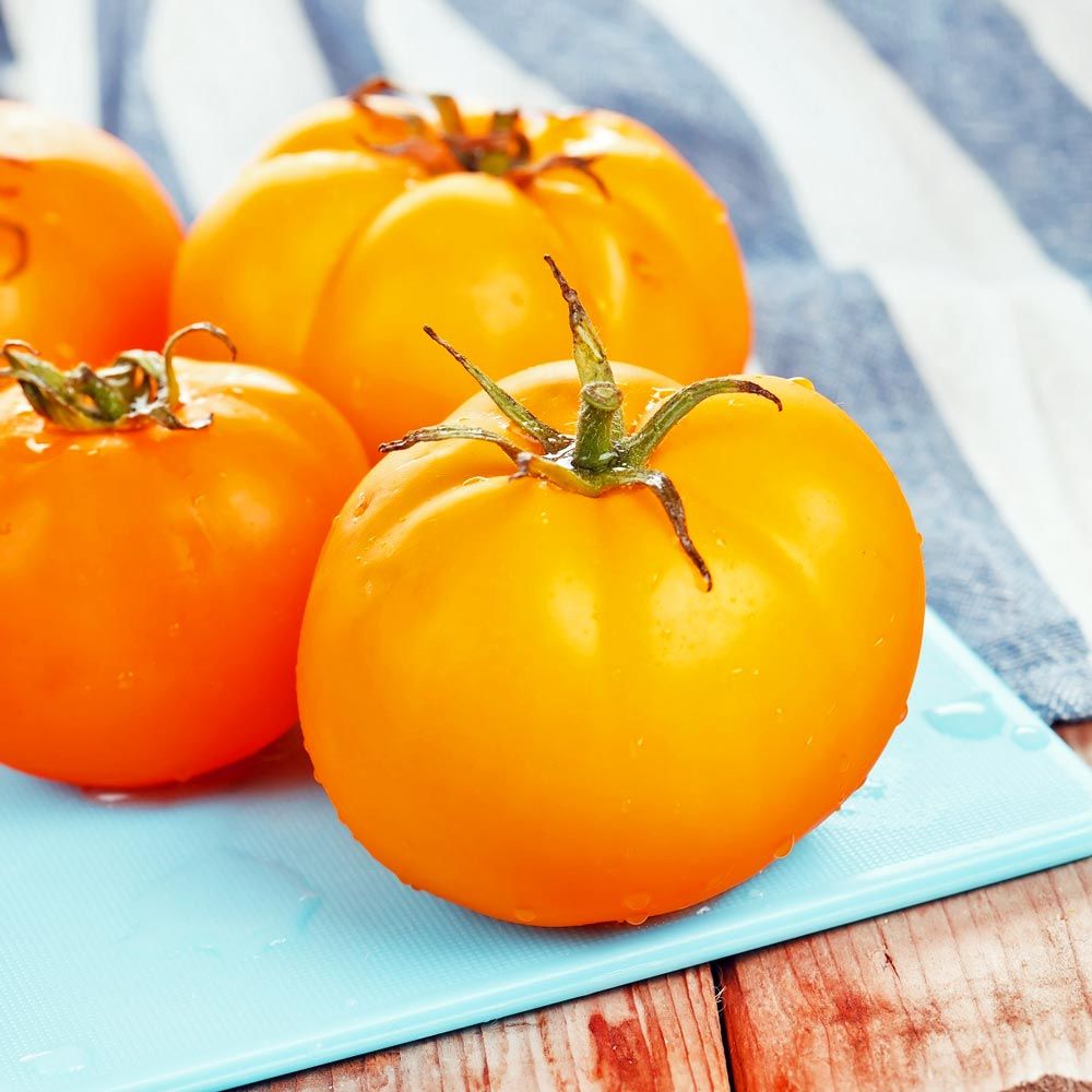 Jubile domates tohumu geleneksel doğal altın sarı