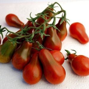 Siyah armut domates tohumu chocolate pear tomato geleneksel