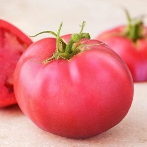 Dev ponderosa pembe domates tohumu ince kabuklu ponderosa pink beefsteak heirloom tomato